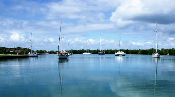 Share The Space In No Name Harbor Key Biscayne Waterway Guide News Update