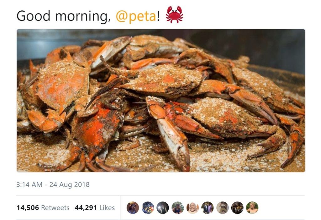 PETA Stirs the Pot with Anti-Crab-Eating Billboard | Waterway Guide