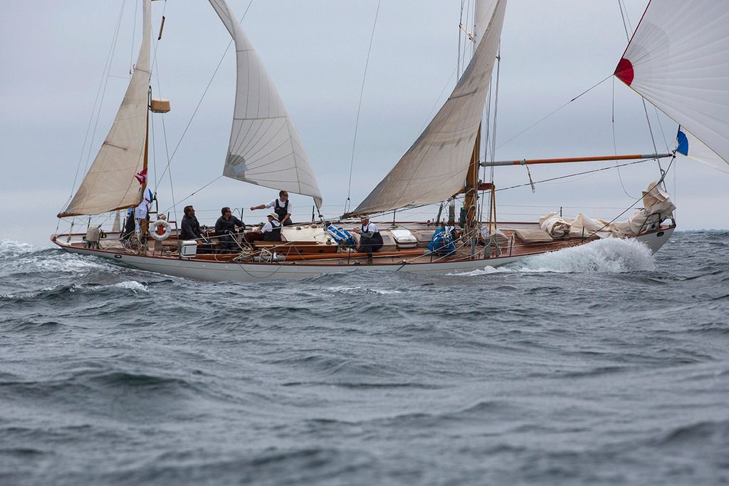 dorade yacht classic