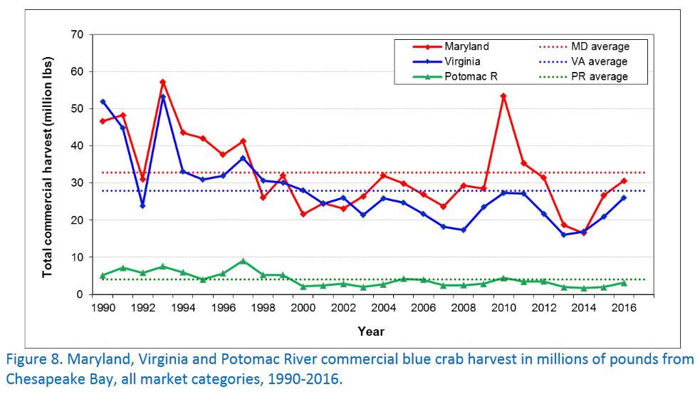 why is the blue crab population decreasing