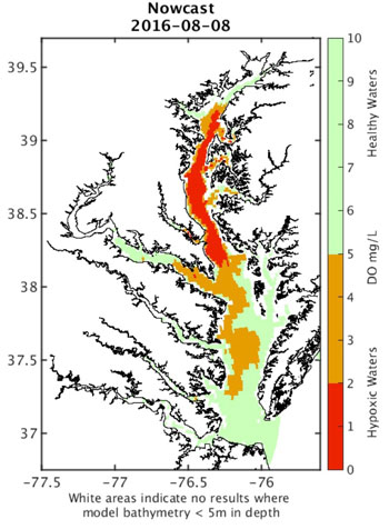 Researchers issue real-time forecasts of Bay dead zone | Waterway Guide